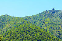 ����ɽ��