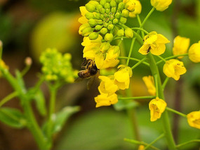 �۷�ɼ�����