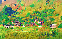 ������ׯ԰