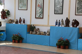 �����ֻ�չ����