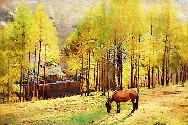 ����������