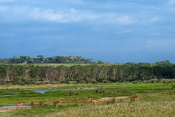 С�ӱߵ�С��