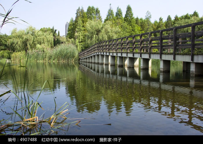李村公园的木桥