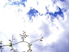 �����İ���