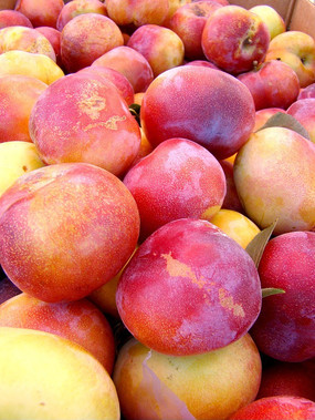 ��ȥ������������