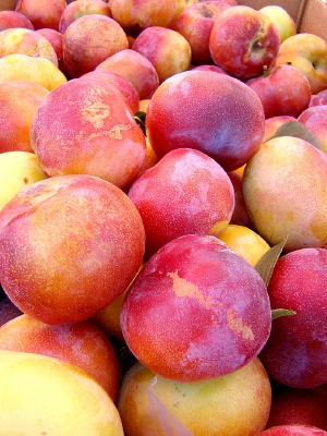 ��ȥ������������