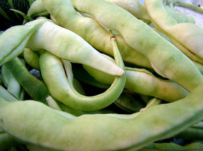 ļܶ