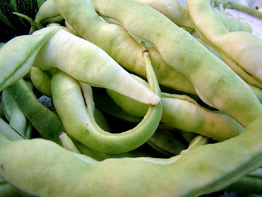 �����ļܶ�