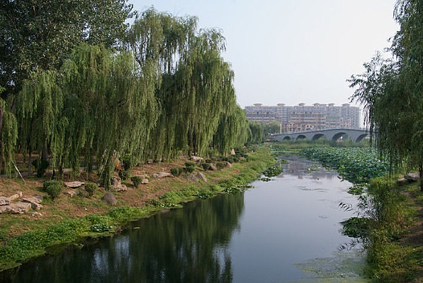 С��������