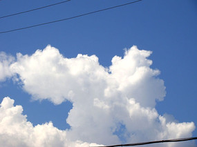 ���޻�һ���׵İ���