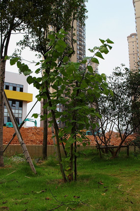 С������