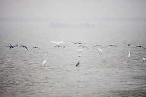 ʪ������