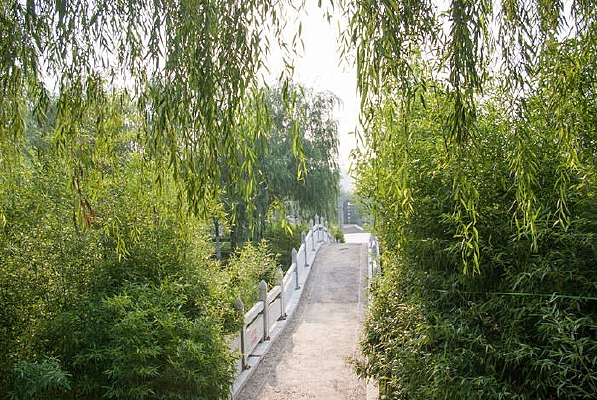 �����е�С��