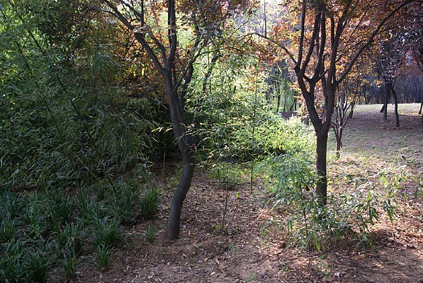 ����������