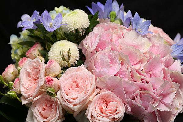 ��õ�廨��д