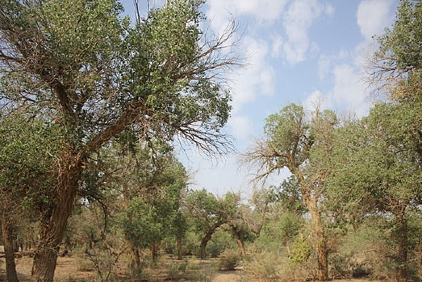 �����־���