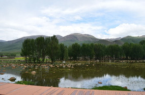 Զɽ���ֺ����Ƶ�Ӱ