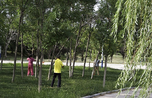 ��������