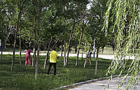 ��������