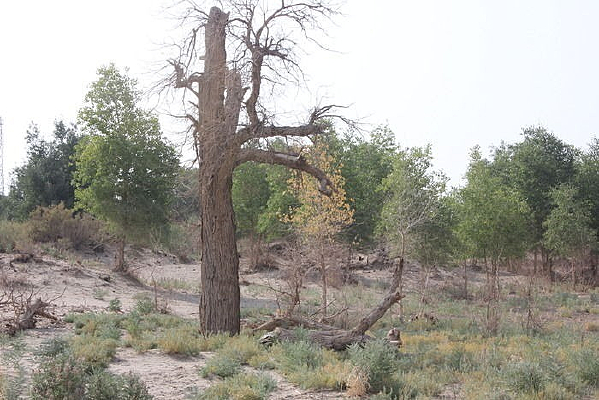 С������