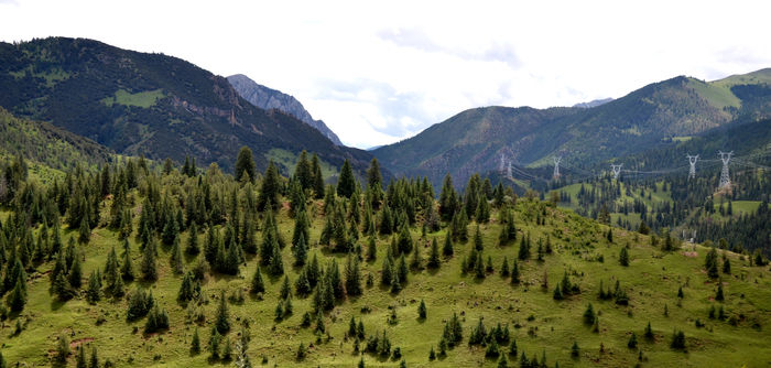 ��ɽ����