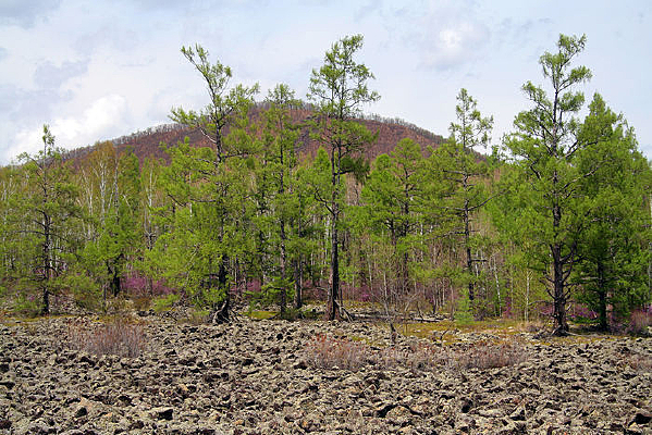 ������Ǩ