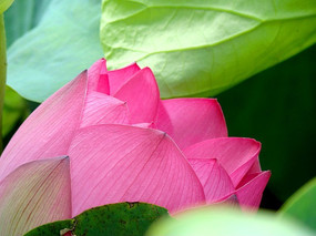 ���ŵ�ˮ��