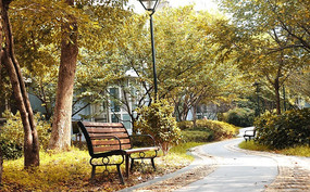 ��԰�ݻƵ���Ҷ