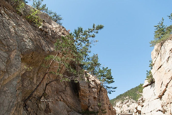 ����֮��