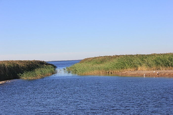 ���Ӻ�«έ��