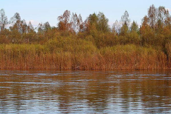 ��ɫ����