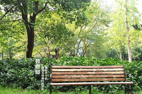 �����еĳ���