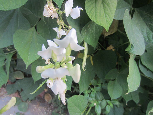 �ⶹ�ǿ���