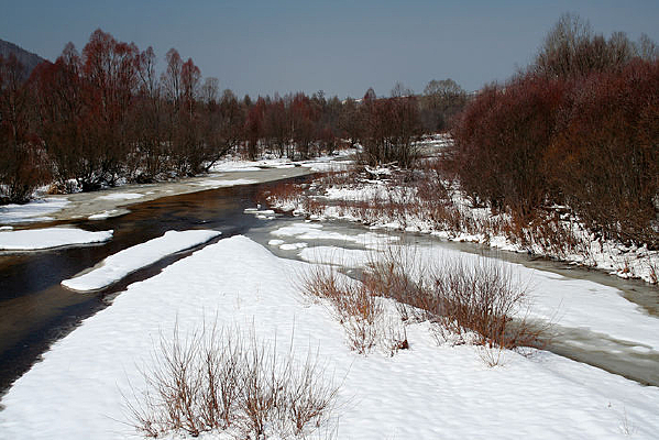 ��ѩ����