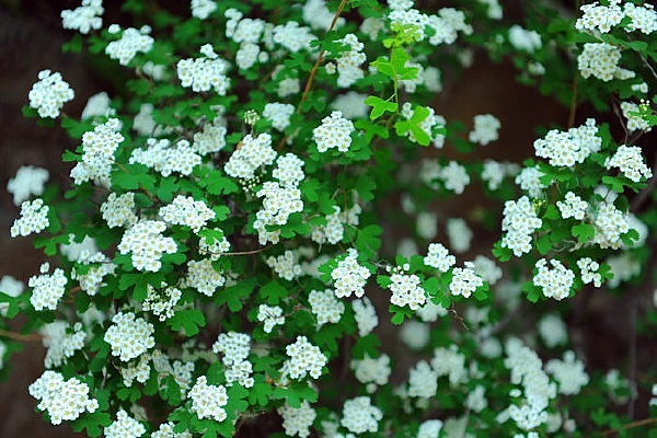 ���û���