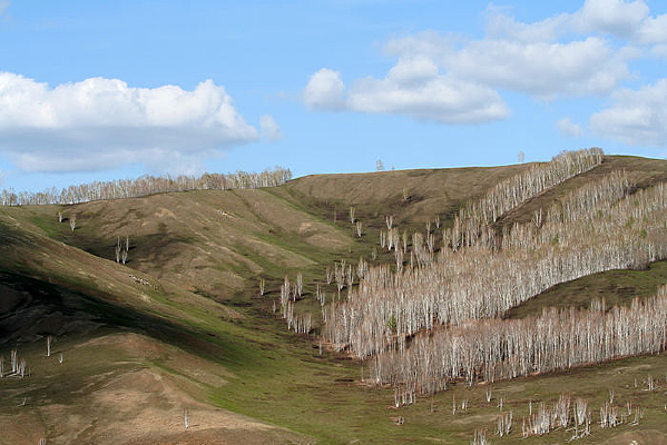 ���ŵİ����ִ�