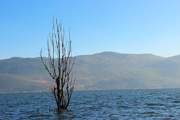 �������п���