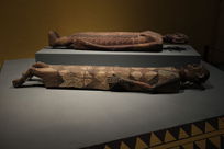 ����������