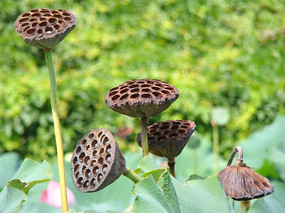 ����������������