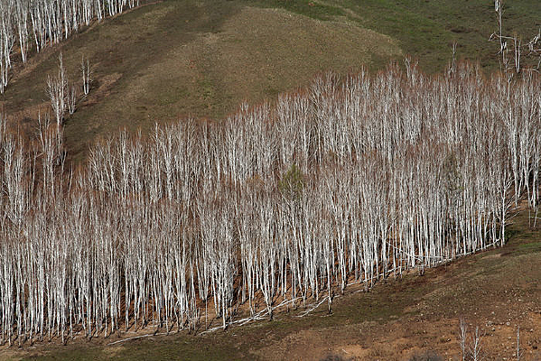 ï�ܵİ�����