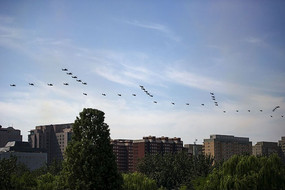 �ɻ����������