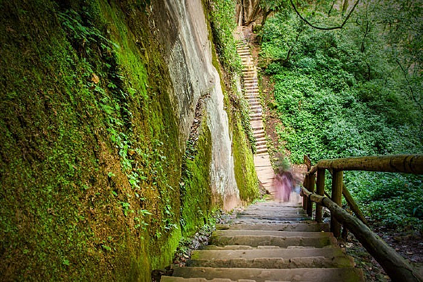 ɽ·�µ�����