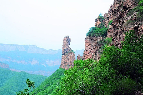 ����Զ��