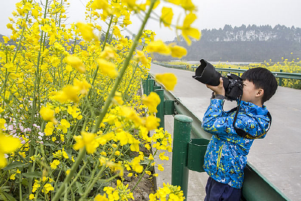 �˻��߲˻���ֲ��