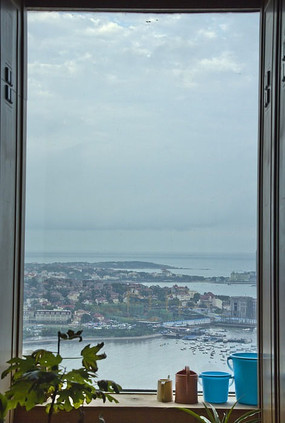 ������ľ�