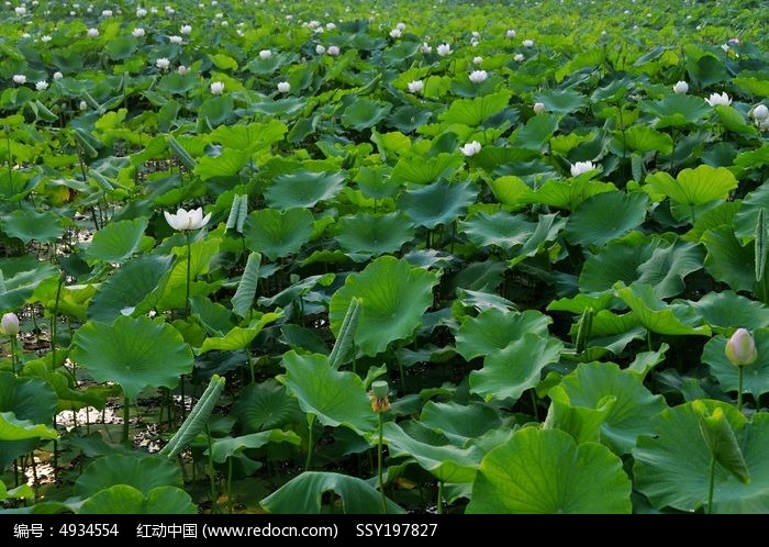 ����ͼƬͼƬ