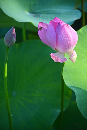 ���ս���