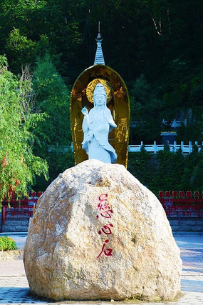 ����֮��