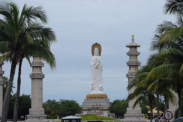 ������ɫ