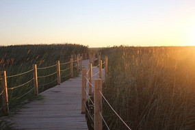 �����Ƶ�«έ�Ա�ͼ